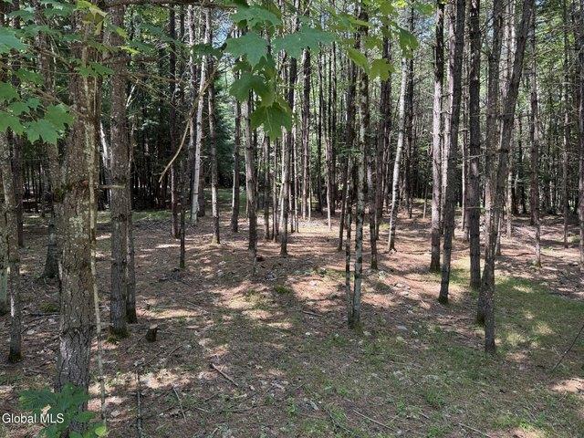 Land for sale in Lake Vanare, Town of Lake Luzerne