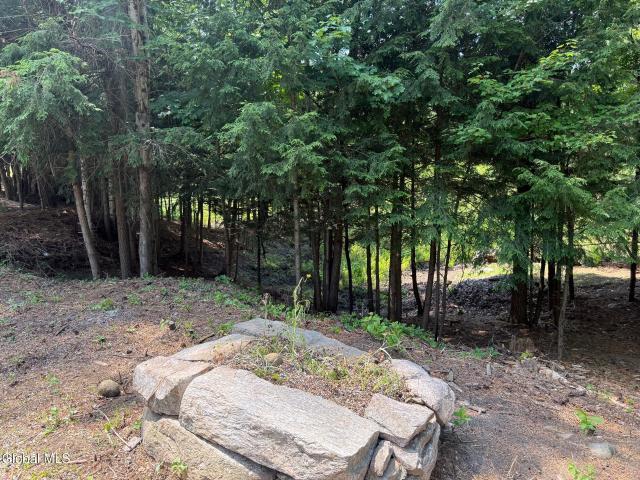Land for sale in Lake Vanare, Town of Lake Luzerne