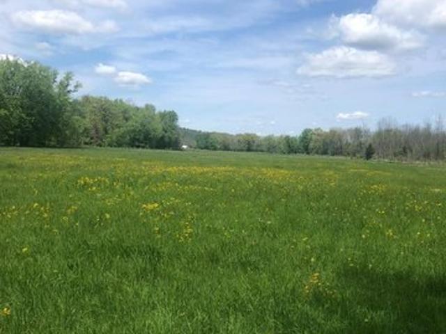 House for sale in Village of Warwick, Town of Warwick