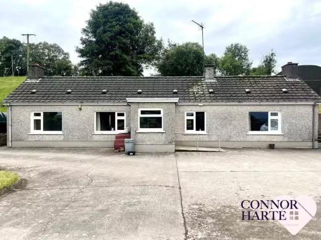 House to rent