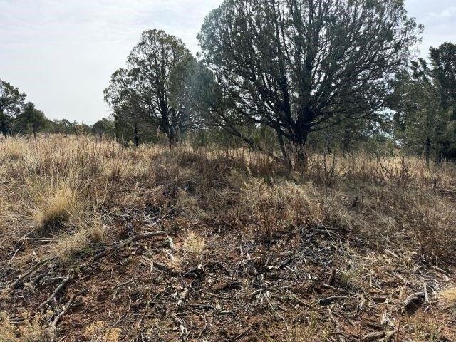 Land for sale in Timberon, New Mexico