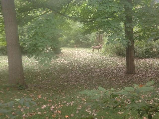 House for sale in Lincolnshire, Illinois