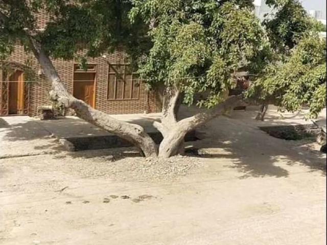 Land for sale in Toba Tek Singh, Islamabad Capital Territory