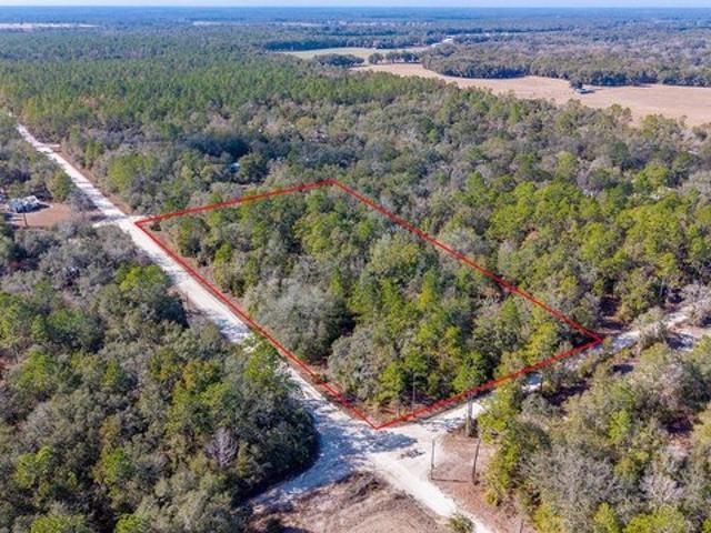 Land for sale in Bell, Florida
