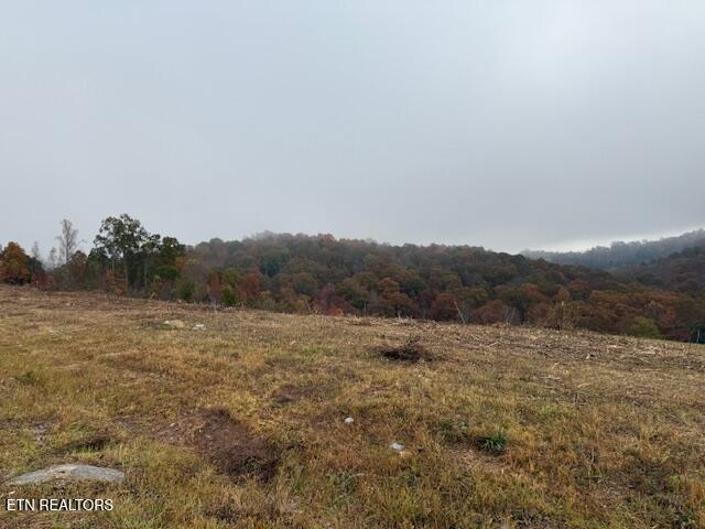 Land for sale in Hidden Springs on Norris Lake, La Follette