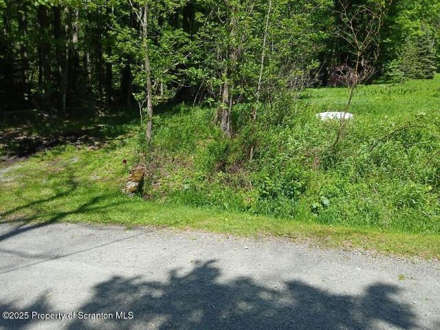 Land for sale in Brackney, Pennsylvania