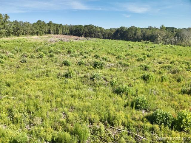 Land for sale in Geneva, Alabama