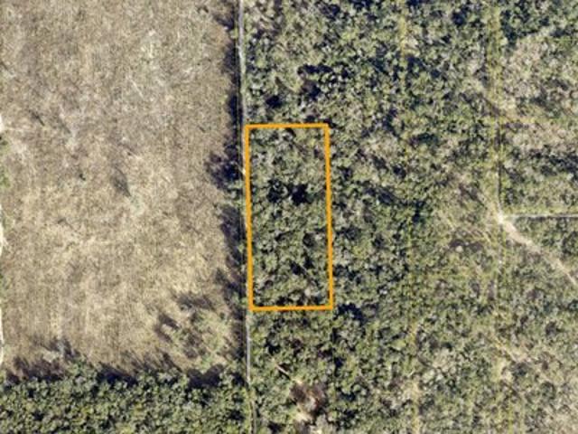 Land for sale in Branford, Suwannee County