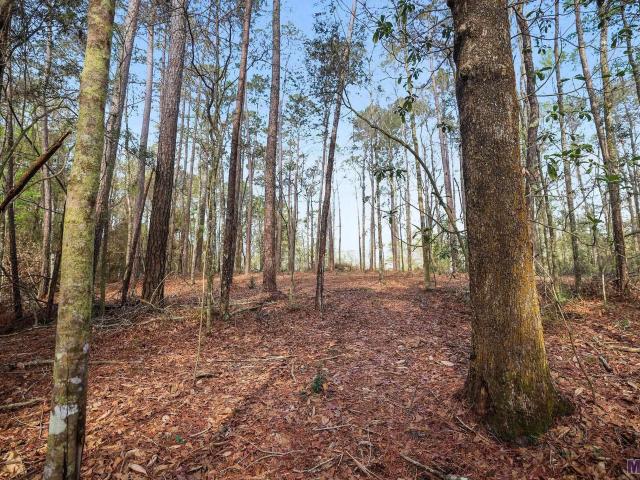 Land for sale in Roseland, Louisiana