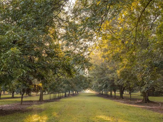 Land for sale in Ducker, Albany