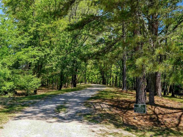 House for sale in Trussville Springs Subdivision, Trussville