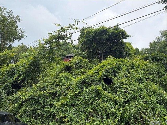 Land for sale in Adah, Pennsylvania