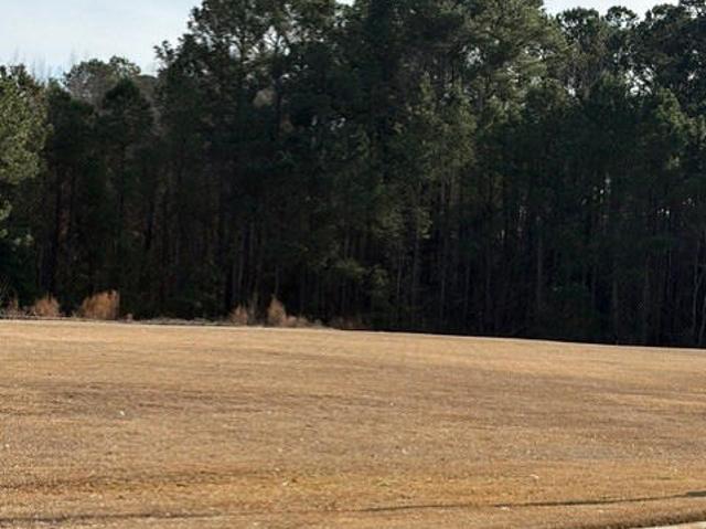 Land for sale in Erwin, North Carolina