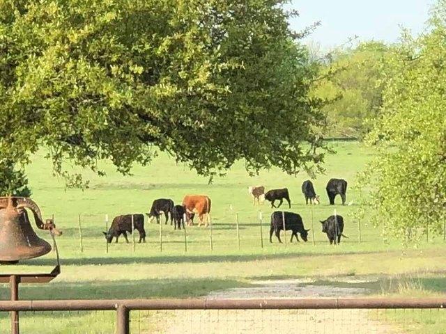 Farm for sale in Bosque, Texas
