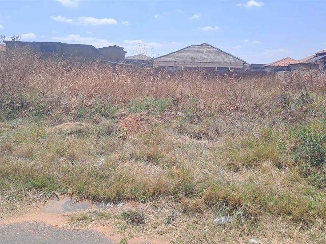 Land for sale in Mpumalanga