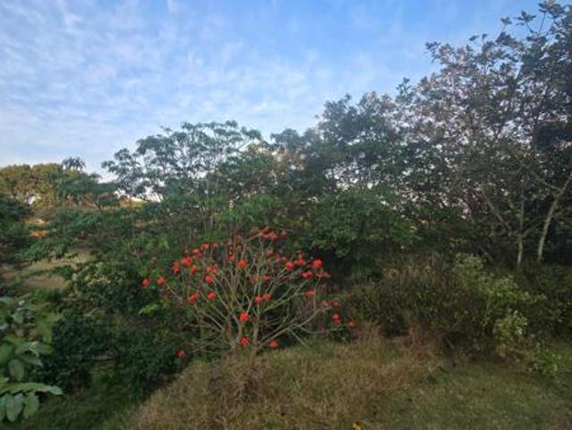 Land for sale in Princess Grant, Kwazulu-natal