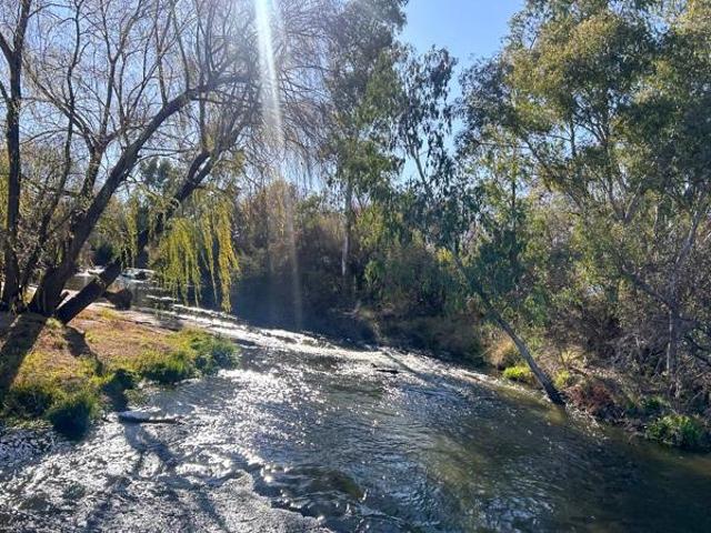 Land for sale in Koppies, Free State