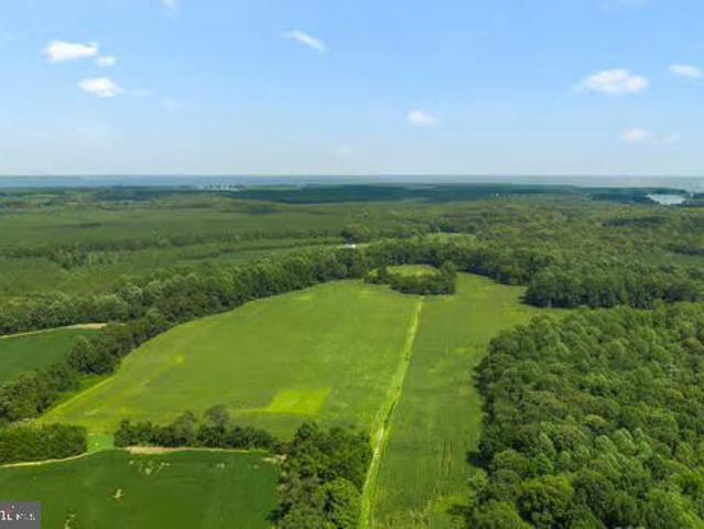 Land for sale in Virginia