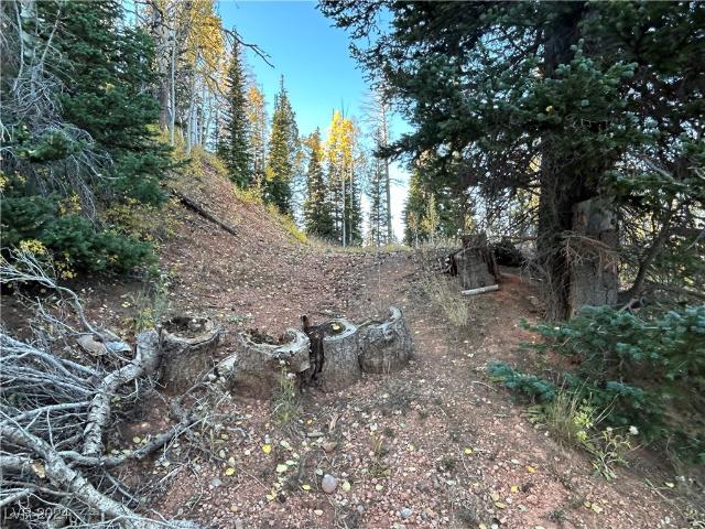 Land for sale in Brian Head, Utah
