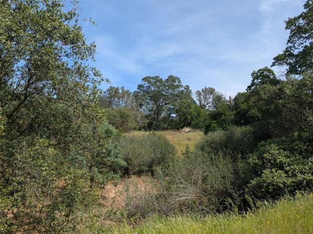 Land for sale in Squaw Valley, California