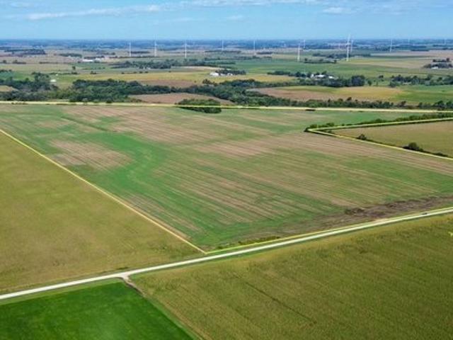 Land for sale in Dexter, Mower County