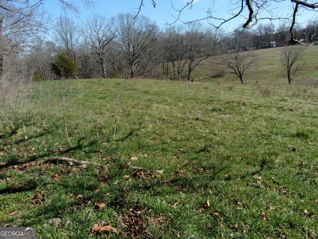 Farm for sale in Danielsville, Georgia