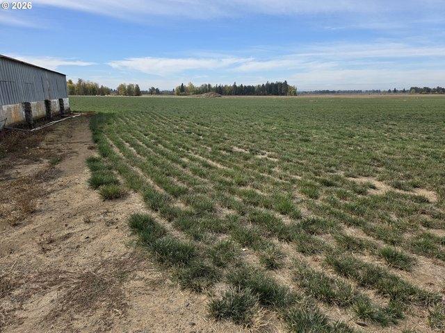Farm for sale in Silverton, Marion County