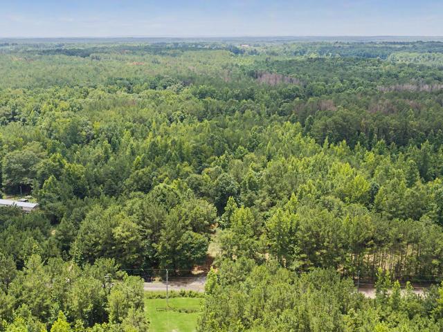 Land for sale in Greenville, Georgia