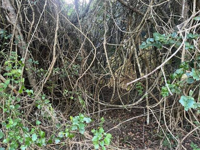 Land for sale in Bushmans River Mouth, Eastern Cape