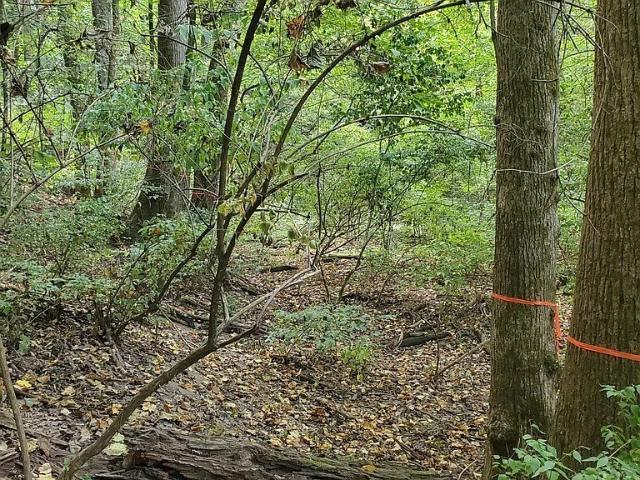 Land for sale in Tennessee