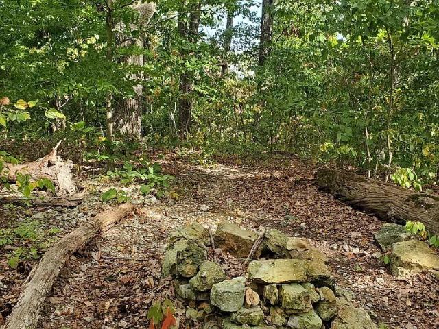 Land for sale in Tennessee