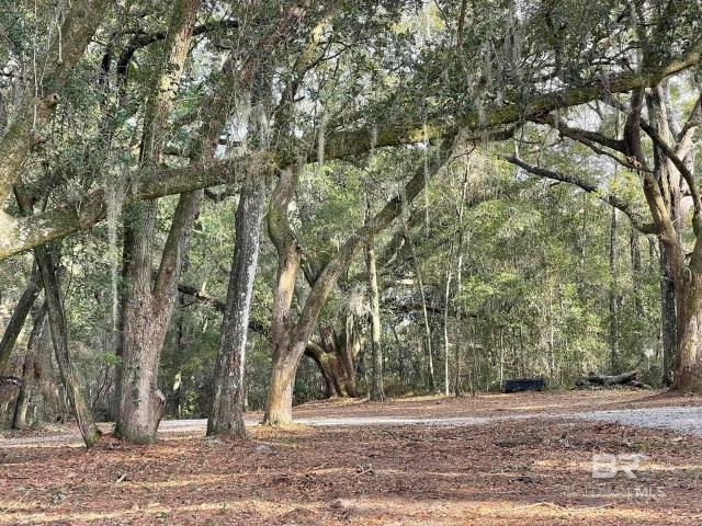 Property for rent in Alabama