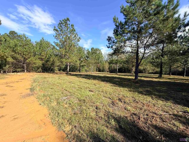 Property for sale in Roseland, Louisiana
