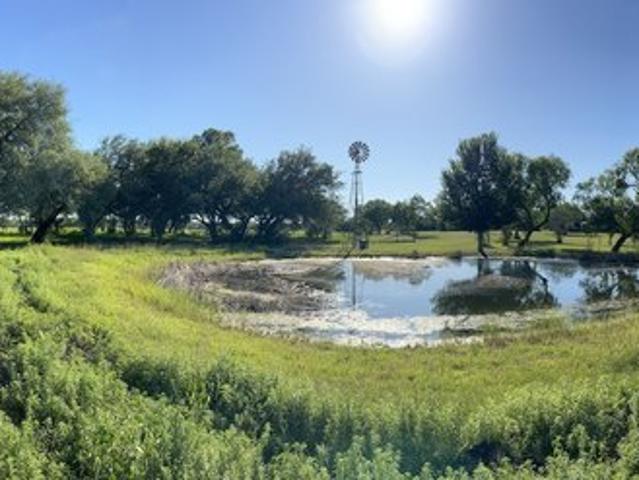 Farm for sale in Moore, Texas