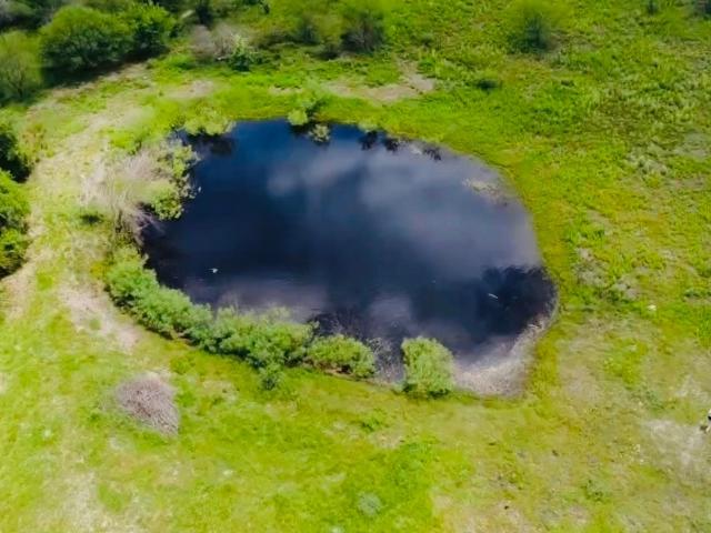 Land for sale in Dewitt, Texas