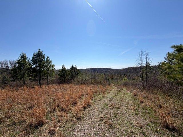 Land for sale in Vinton, Ohio