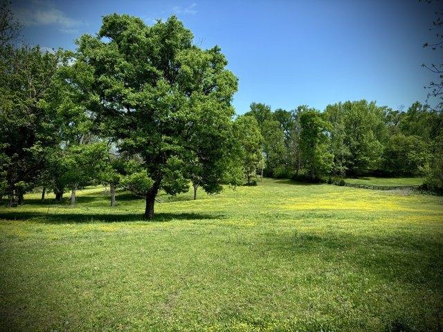Farm for sale in Tennessee