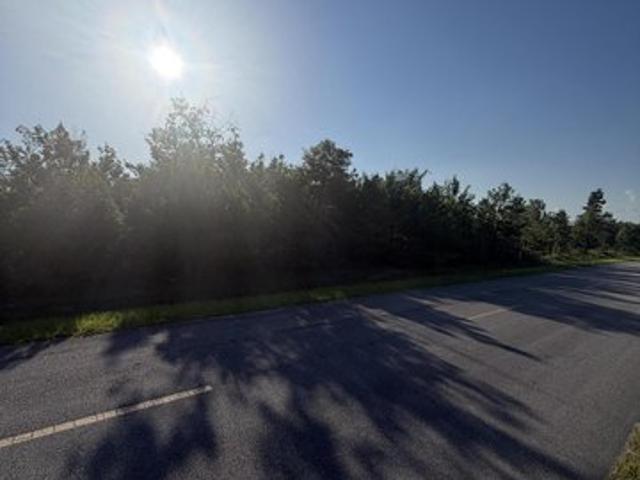 Land for sale in Altha, Florida