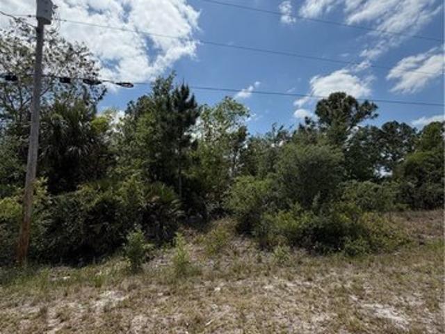 Land for sale in Lehigh Acres, Florida