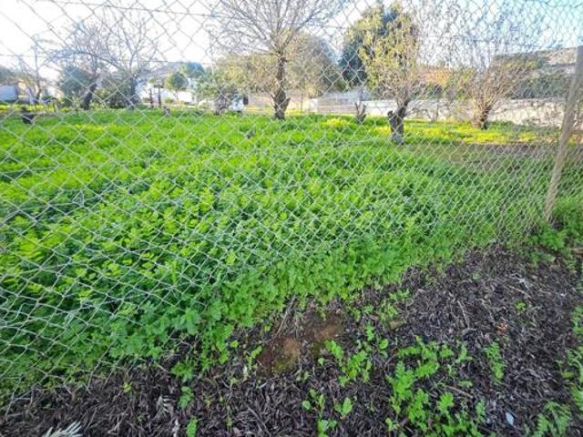 Land for sale in Western Cape