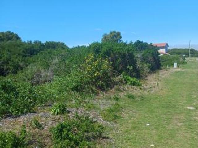Land for sale in Cape St Francis, Eastern Cape