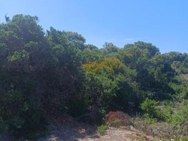 Land for sale in Cape St Francis, Eastern Cape