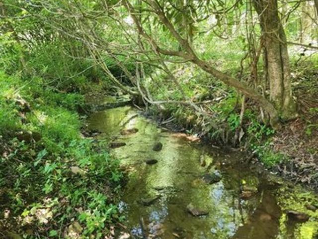 Land for sale in Virginia