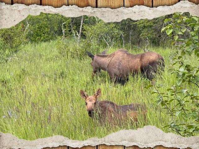 Land for sale in Ninilchik, Alaska