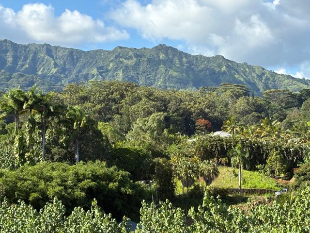 House for sale in Hawaii