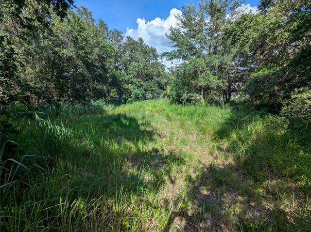 Land for sale in Mulberry, Florida