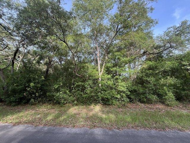 Land for sale in Hernando, Florida