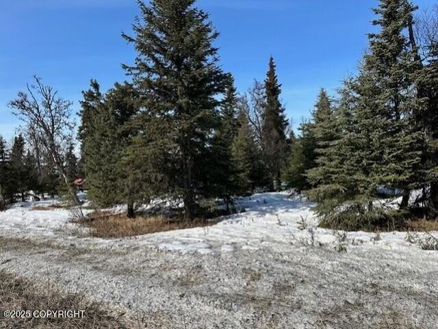 Land for sale in Ninilchik, Alaska