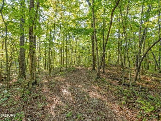Land for sale in Tallassee, East Tennessee