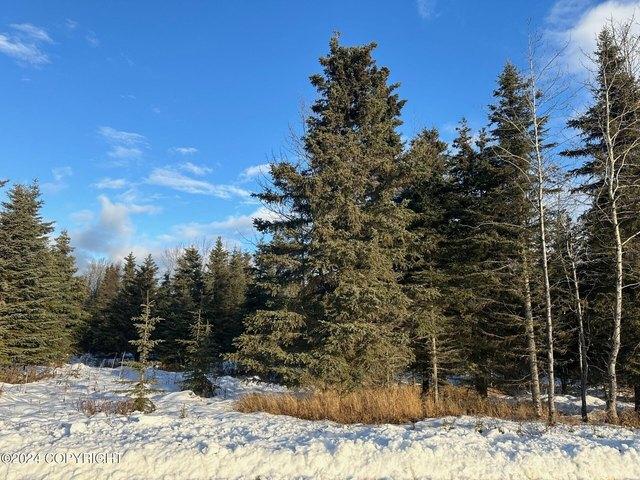 Land for sale in Ninilchik, Alaska